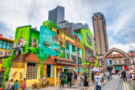 Reincarnation of the Peranakan Craftmaking in Singapore Arts and Culture Arts & Culture