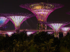 The Celebrations Answered at Cultural Places in Singapore Events