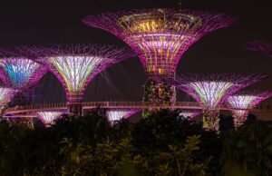 The Celebrations Answered at Cultural Places in Singapore Events