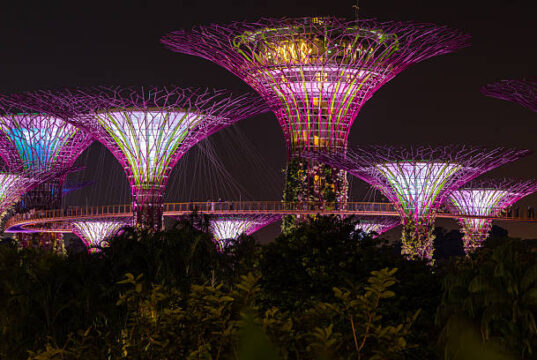 The Celebrations Answered at Cultural Places in Singapore Events