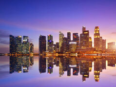 Budget Luxury: Cost-Effective Options of Flower Delivery Singapore Budget