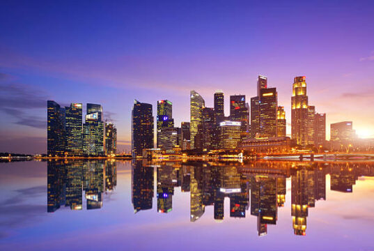 Budget Luxury: Cost-Effective Options of Flower Delivery Singapore Budget