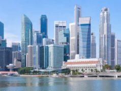 Saving on Subscriptions: Flower Delivery Singapore Monthly Budget Budget