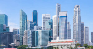 Saving on Subscriptions: Flower Delivery Singapore Monthly Budget Budget