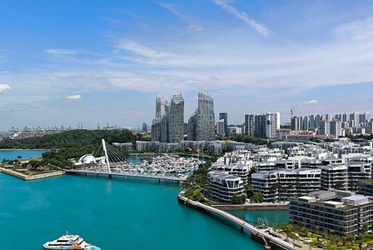 Smart Gifting: More Affordable Flower Delivery Singapore Budget